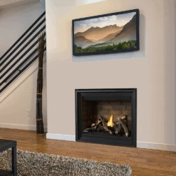 Napoleon Altitude 42 Direct Vent Gas Fireplace - A42