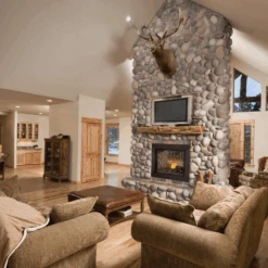 Napoleon Ascent BHD4 See Thru Direct Vent Gas Fireplace - BHD4