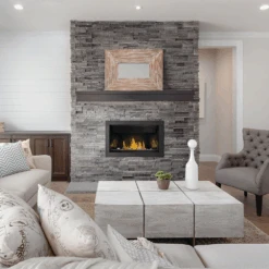 Napoleon Ascent BL36 Top Vent Direct Vent Linear Gas Fireplace - BL36