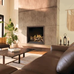 Napoleon Elevation X 42 Direct Vent Gas Fireplace - EX42NTEL