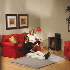 Napoleon Arlington Direct Vent Cast Iron Gas Stove - GDS20