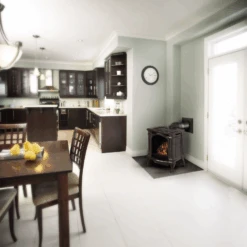 Napoleon Bayfield Direct Vent Cast Iron Gas Stove - GDS25