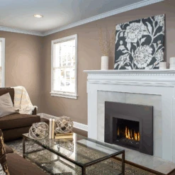 Napoleon Oakville GDIG3 Gas Fireplace Insert - GDIG3N