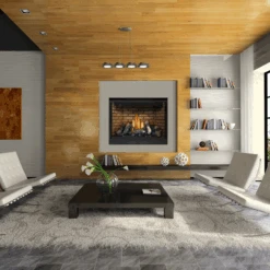 Napoleon High Definition 46 Direct Vent Gas Fireplace - HD46NT-2