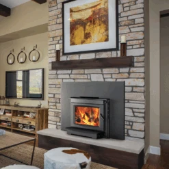 Napoleon S20i Small Wood Burning Insert - S20i