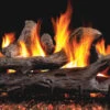 RealFyre 24 Inch G45 Series See-Thru Vented Gas Log Set - G45-2-24A