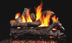 RealFyre 24 Inch G45 Series See-Thru Vented Gas Log Set - G45-2-24A