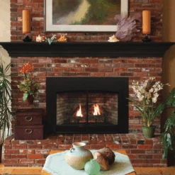 Empire Innsbrook Medium Clean Face Direct Vent Gas Insert - DVC26IN