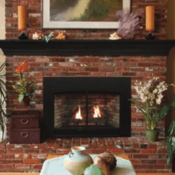 Empire Innsbrook Small Clean Face Direct Vent Gas Insert - DVC20IN