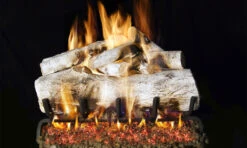 RealFyre 24 Inch G45 Series See-Thru Vented Gas Log Set With IPI Ignition - G45-2-24-02
